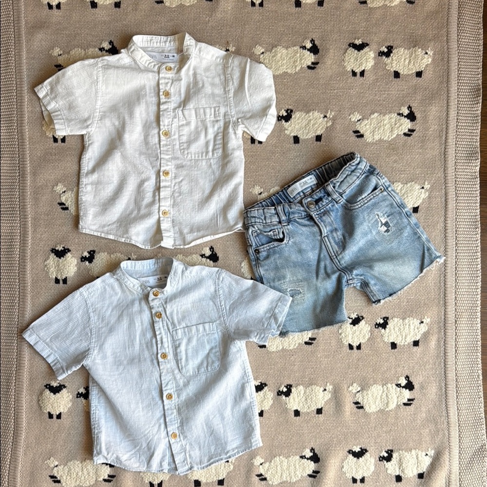 Zara White and Blue Button Down Shirts